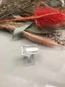 Anillo Odissea