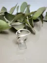 Anillo Marte