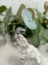 Anillo Dragon