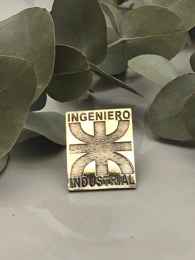 Pin  ingeniero